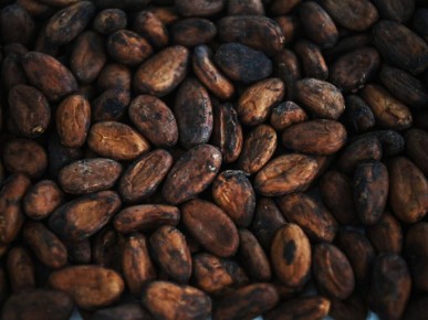 �����-���� �� ���: ��������� ������� ��� �������� ������������