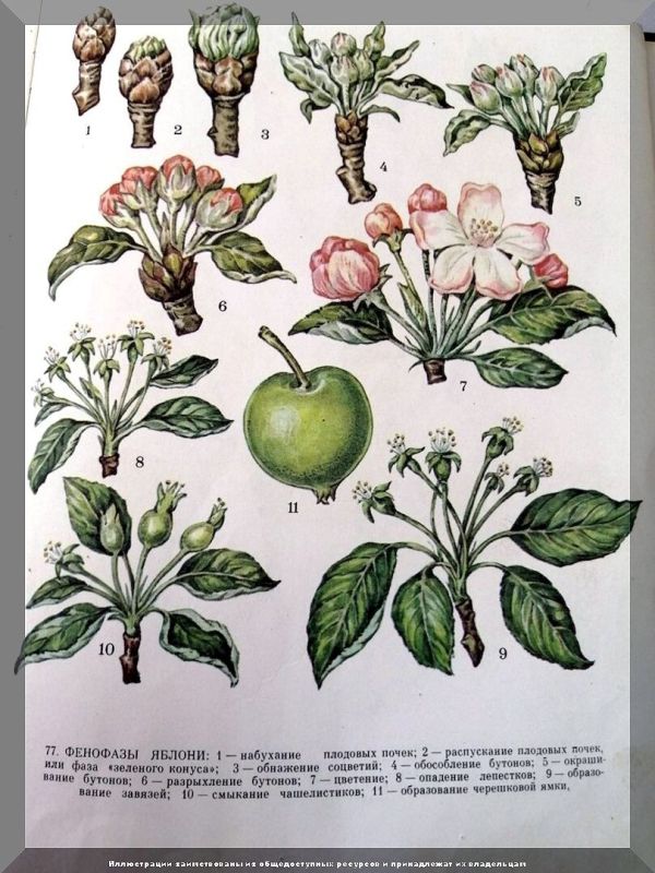 ������� �������� ����� � �������� ����