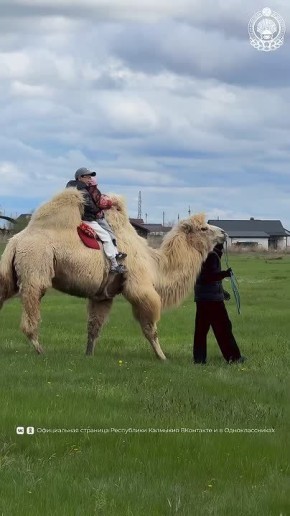 ������, ����, ��-��������� � ������ ��� ������ ��������������� ����������