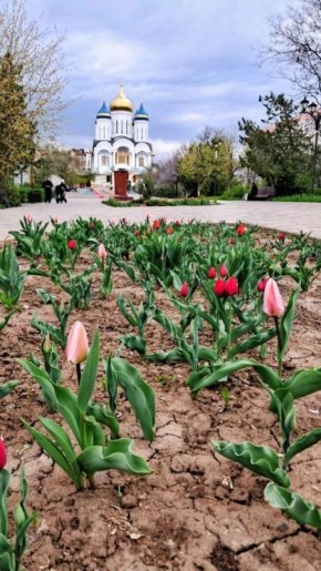 ������ ����!. ������� 12 ������, �����������, �� ������������ ��� ������ �� ���� ����