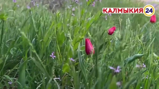 ��� ������� ������� �������� � ����� ��� �������� ������! Ƹ����, �������, ������ � ��� ������ ����� �������, ���� ������� � ������� �������