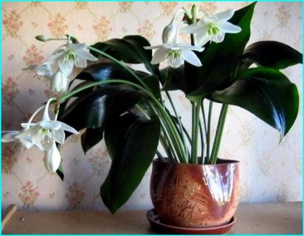 ���������� �����: ��� ������ ������������ �������� �������� ��� ���