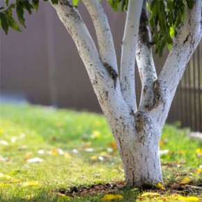 ��� ������� ����������� ������� ������� ��� ������ �������� �� ���� �����