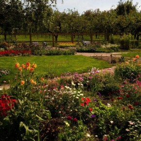 ������� ������������ ��������: ������������ ��� ������ ����