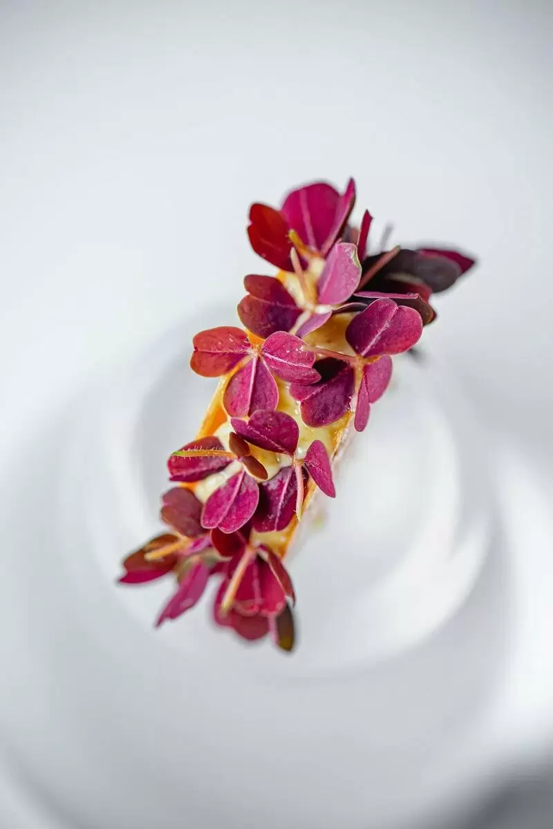 Тар-тар из сёмги с хрустящим сулугуни: гастрономическая симфония в каждом укусе