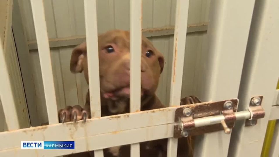 ������ ������ � ������ ����