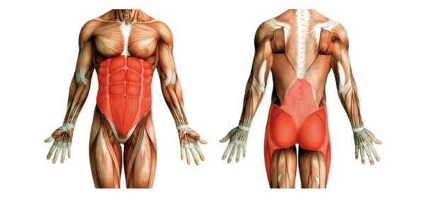 Как фитнес-ролл помогает чувствовать себя легче и энергичнее