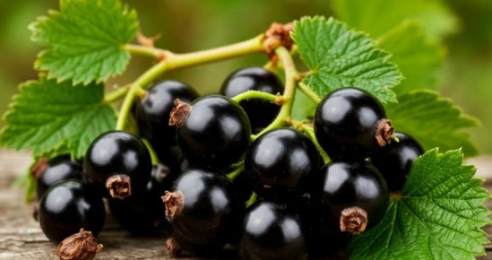 ��� �������� ��������� ������: ������� ����������� ������� ��� ��������� ������