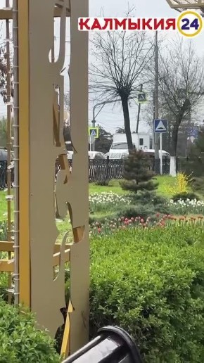 #���������������. � ������ ������ ������������ ����� �������� ��� �������� ������ ��� �������� ��������� #��������24