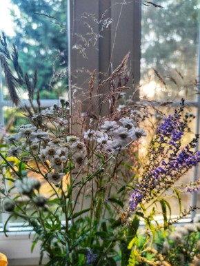 ������ ����: ������ � ����� ��������� ����� � ������� ������������