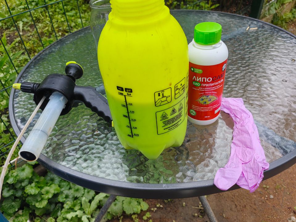 ��� ���������� ������������ ���������� � �������� � ����������� � ����