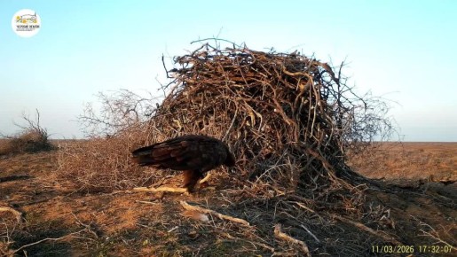 ����������� ���������� �����