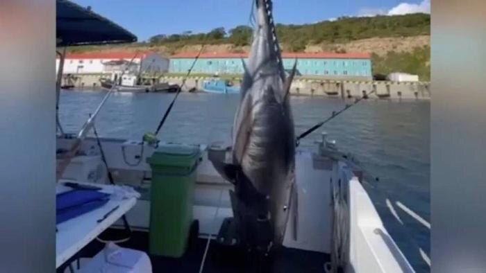 �� ������� ������ ������������ ����� ���������� ��� ������� �������