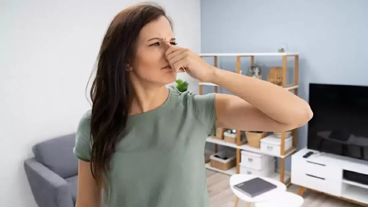 Как избавиться от затхлого запаха в квартире: практические советы