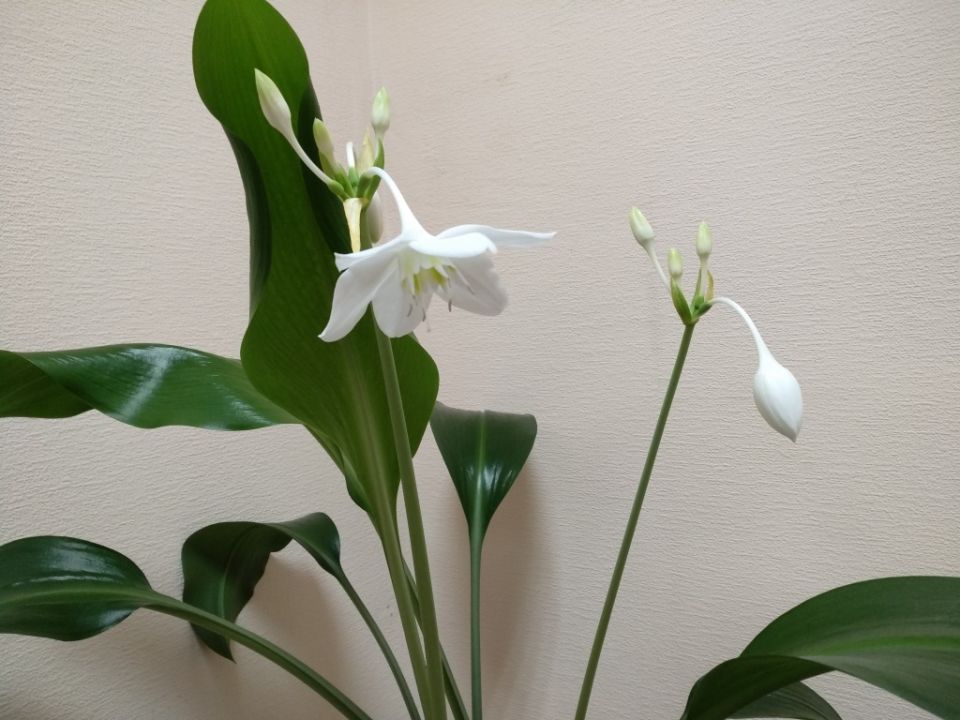 �������: ��� ��������� ���������� ����� � �������� ��������