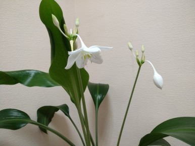 �������: ��� ��������� ���������� ����� � �������� ��������