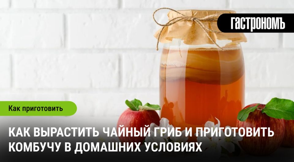 ������ ����: �������� � ���� � ����� �����