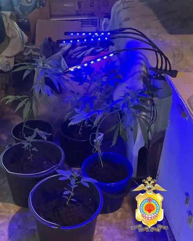 ������������ �������� �������� ����� ����������� ������� ������������� ������� � ������ ������������� ��������