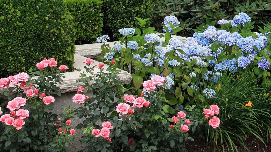 ��� ����������� ��������� � ���� � ������������� �������� � ����