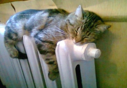 � ������ � 15 ������ ����������� ������������ �����