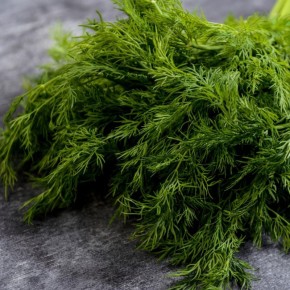 Как укроп не потеряет свой аромат: секреты успешного выращивания