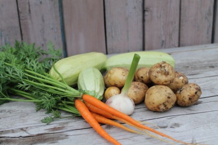 Как создать идеальный ленивый огород: минимальные усилия, максимальный урожай