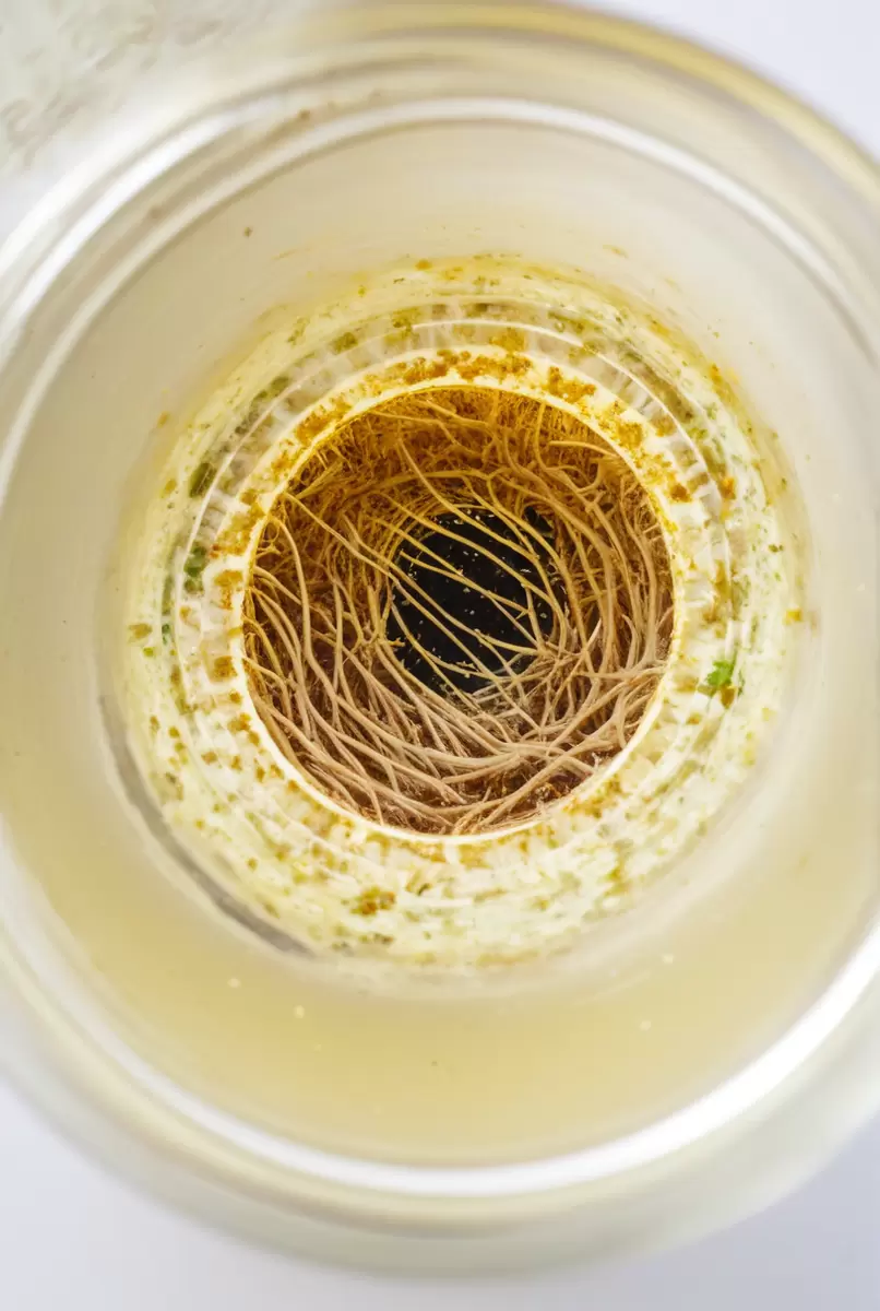 Современные биопрепараты для очистки труб: влияние на экосистему и эффективность