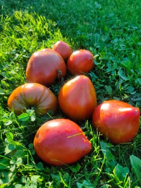 ��� �������� ���������� �������: �������, �� ����������� ������