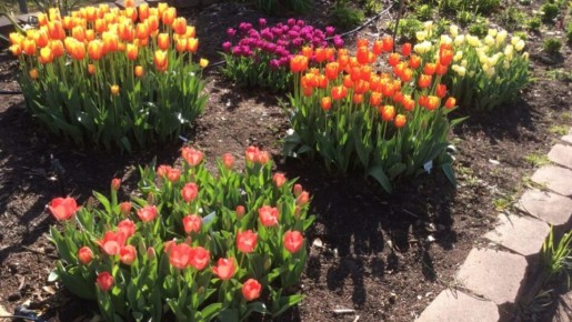 �������� ����: ��� ��������� �������� �������� ��� ������� ��������