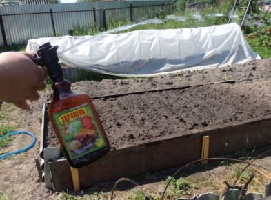 ���������� ���������: ��� ���������� � ��������� �� ����� ��������