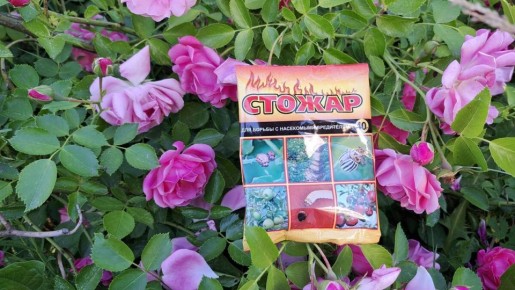 ������� � ����������� ������� ��� ������ � �������� �����������