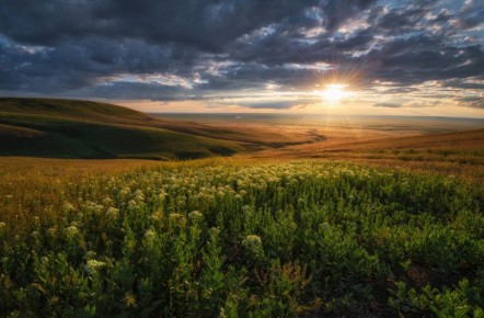 ������ �������� ��� ����� ��������