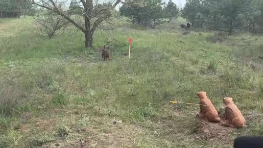 ���� ������� ��� ����� � ������: ����� �������� ���������� ���� ���� � �������� �� ����