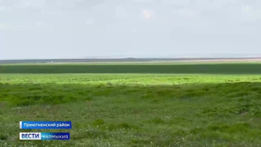 ������� ������� ����� ��� ������