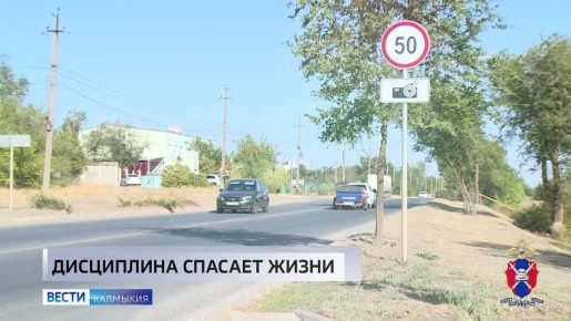 �����������������: ���������� �� ������ ������������