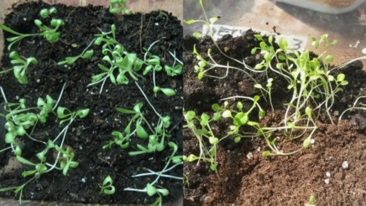 ��� �������� ������� ���������� ������ � ������ �����