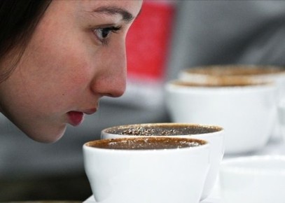 ���������� ����: ����� ������ ��� ����� � ����������� �����������