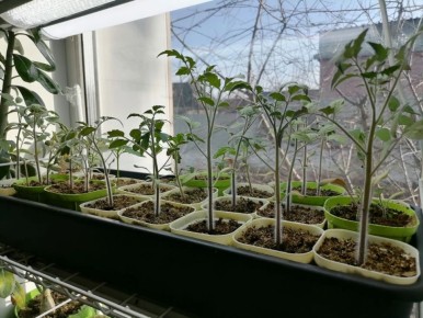 ��� ��������� �� �������� ��������� ����� ���������