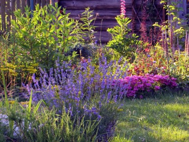 ������������� ��������: ���� � ����������