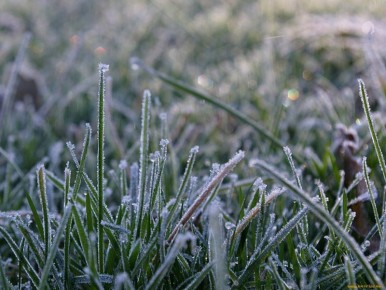 � �������� 21 ������ ��������� ���������