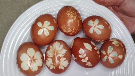 ������������ ������ ������� ���������� ���