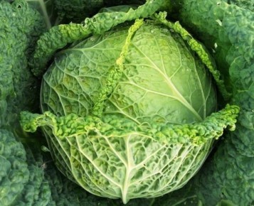 ��������� �������: ��� �������� ������ � � �����������