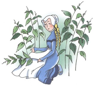 ����� ��������� �����: �� ������ �� �������������