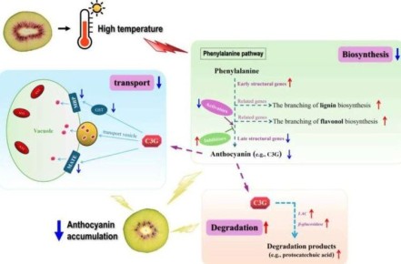 ���������� ���������� �������� ������������� ��������� �������� ����