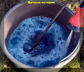 ��������� ��������: ������������� �������� � ������ � ����������� � ��������� ��������