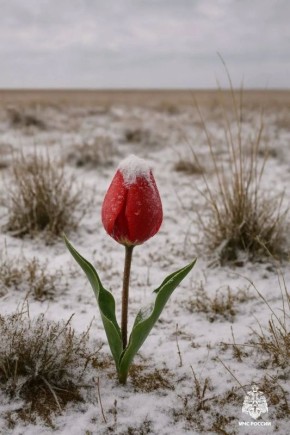 ���������� ��������������. �� ������ ����������� ���ѻ, ����� � ����� 27-29 ������ ������� �� ���������� ��������� ��������� � ������� � �� ����������� ����� �� -1,0