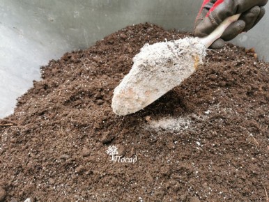 ��� ��������� �������: ����������� �� ����������� �������