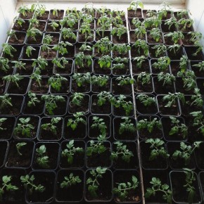 ��� ��������� ���������� ������� ��������� ��� ��������� �����