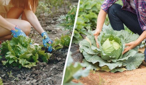 ����������� ��������� ������: ������� � ����������� �������