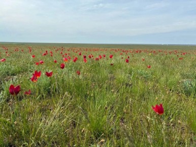 ������ ����!. ������� 27 ������, �����������, �� ������������ ��� ������ �� ���� ����